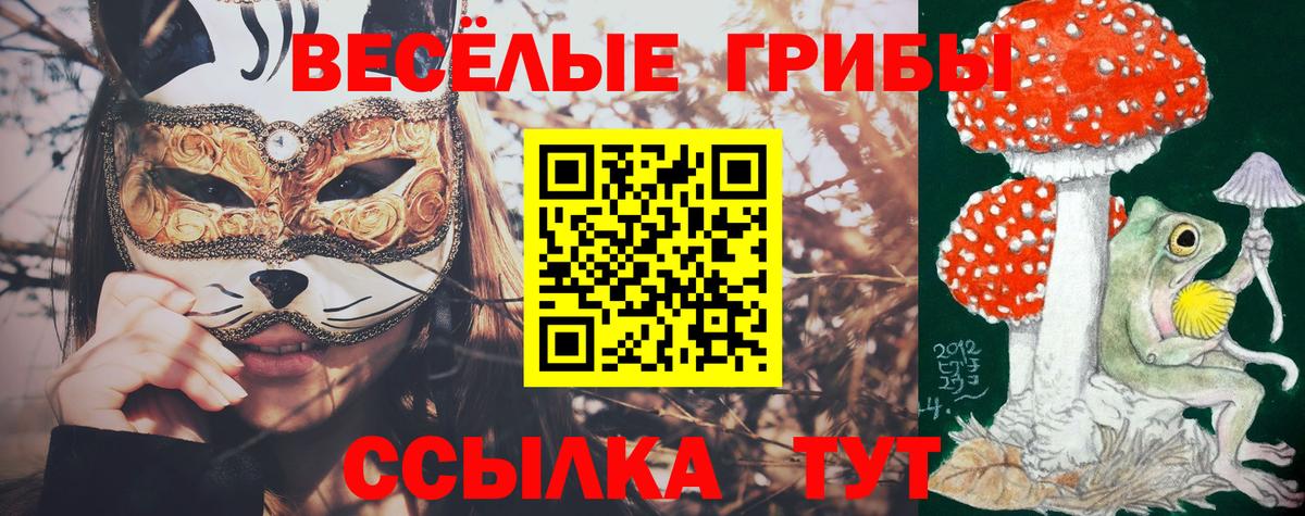Димитровград  Галлюциногенные грибы Magic Shrooms  Галлюциногенные грибы GOLDEN TEACHER  Вход с VPN 
