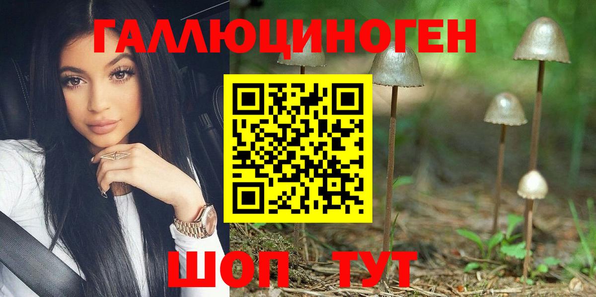 Галлюциногенные грибы ЛСД  Димитровград  Галлюциногенные грибы GOLDEN TEACHER 