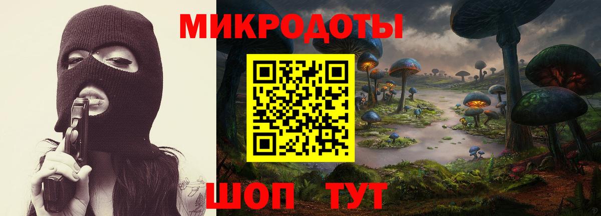 Псилоцибиновые грибы Cubensis Димитровград