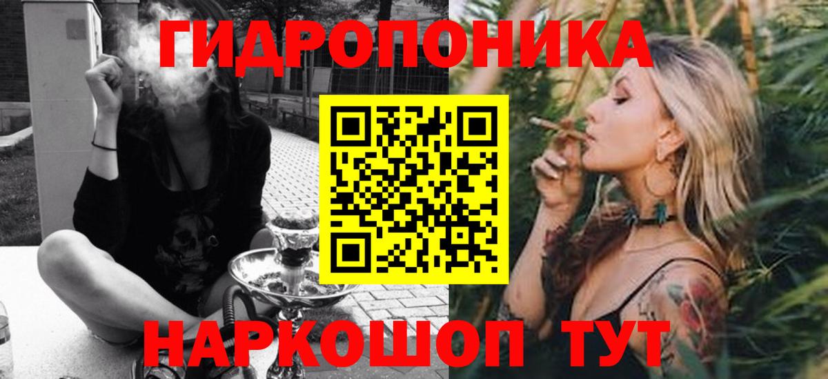 Бошки Шишки план Димитровград